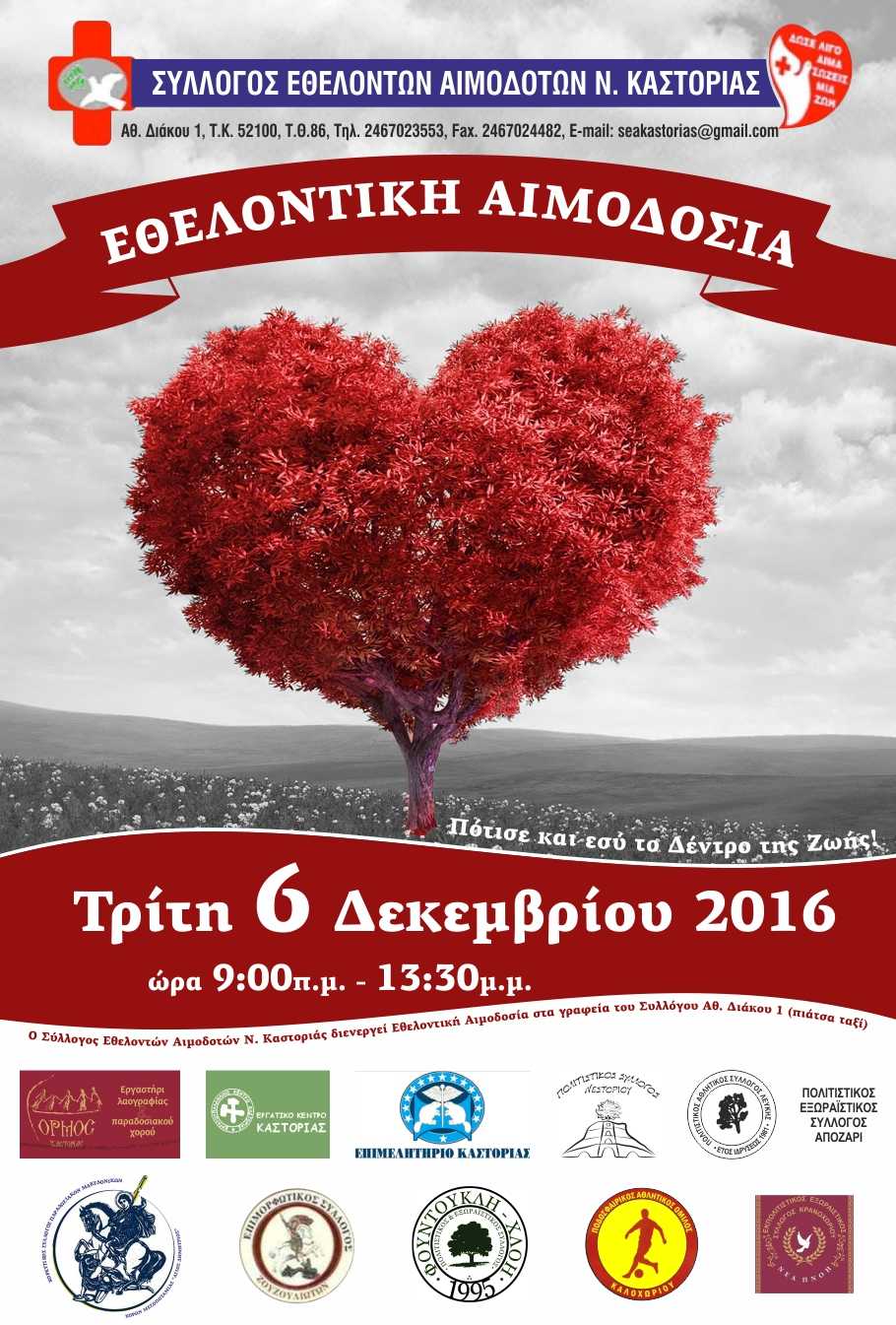 afisa 03 (aimodosia) b